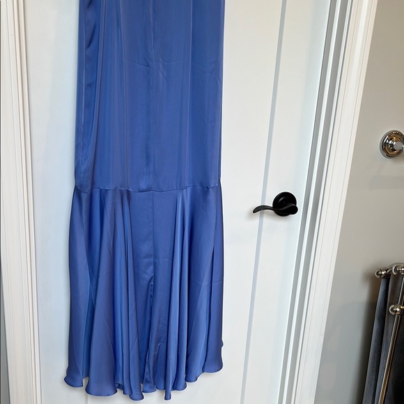 Express Blue Ruffle Dress - Picture 8 of 10
